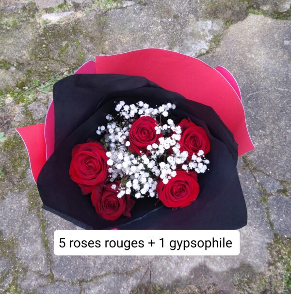 5 roses rouges + 1 gypsophile + livraison