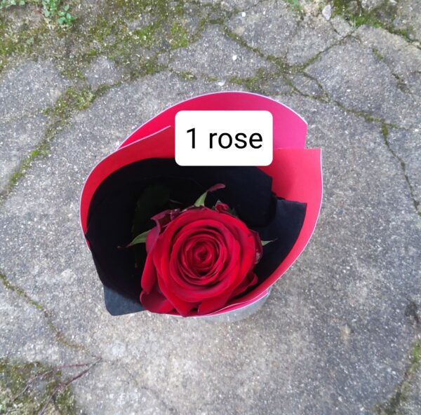 1 rose rouge + livraison